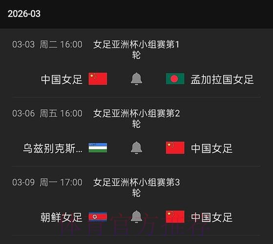 就这样看世界:女足世界杯直播全攻略 就这样看世界:女足世界杯直播全攻略